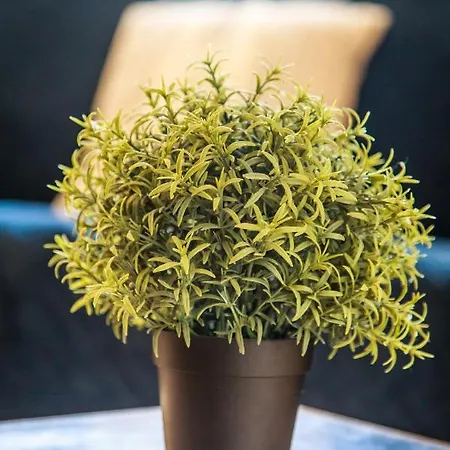 Lejlighed Benoit, 80m De La Mer, Jardinet *